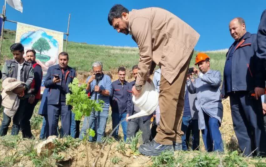 عملیات جنگلکاری ۴۰۰ هکتاری مس سونگون در ارسباران آغاز شد عملیات جنگلکاری ۴۰۰ هکتاری مس سونگون در ارسباران آغاز شد