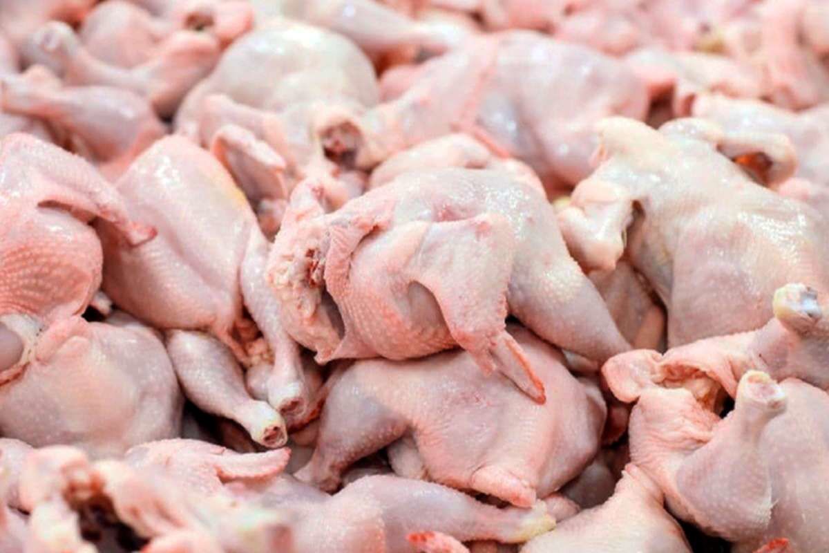 نرخ روز انواع گوشت مرغ درب کشتارگاه نرخ روز انواع گوشت مرغ درب کشتارگاه