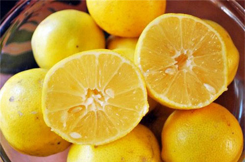 چین میزبان لیموشیرین ایرانی شد چین میزبان لیموشیرین ایرانی شد