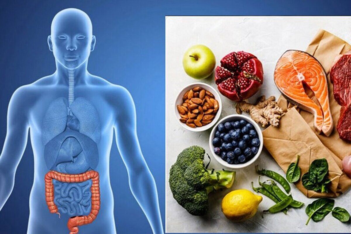 این مواد غذایی به میکروب معده حمله میکنند این مواد غذایی به میکروب معده حمله میکنند