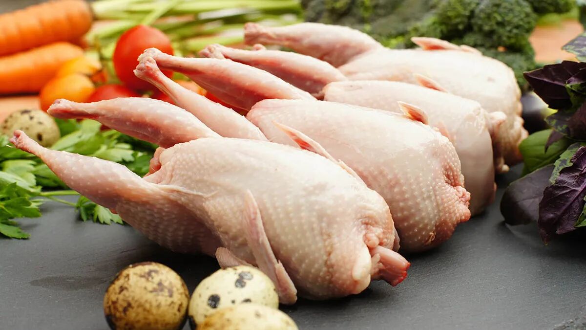خاصیت بی نظیر گوشت بلدرچین برای کودکان ، خوشمزه و مقوی خاصیت بی نظیر گوشت بلدرچین برای کودکان ، خوشمزه و مقوی