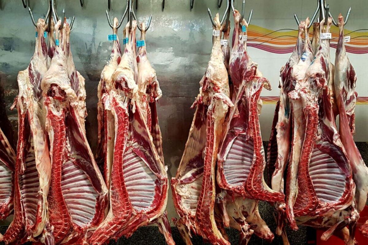 قیمت گوشت گوسفندی و گوساله تنظیم بازاری چند؟ + جدول خرداد ۱۴۰۳ قیمت گوشت گوسفندی و گوساله تنظیم بازاری چند؟ + جدول خرداد ۱۴۰۳