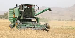 قیمت پایه خرید تضمینی گندم در سال ۱۴۰۳ اعلام شد قیمت پایه خرید تضمینی گندم در سال ۱۴۰۳ اعلام شد