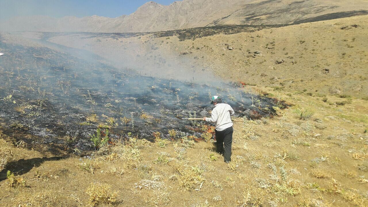 ۲۰ هکتار از جنگلهای پاوه در آتش سوخت ۲۰ هکتار از جنگلهای پاوه در آتش سوخت
