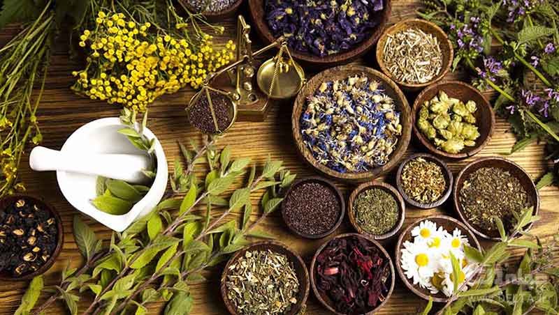 رتبه نخست خوزستان در تولید گیاهان دارویی رتبه نخست خوزستان در تولید گیاهان دارویی