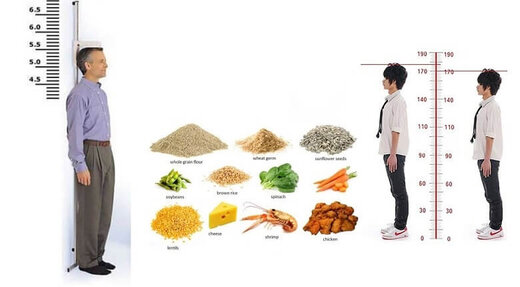 افزایش قد با مصرف این مواد غذایی افزایش قد با مصرف این مواد غذایی