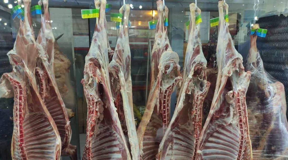 هشدار / تایید واردات گوشتهای فاسد به ایران! هشدار / تایید واردات گوشتهای فاسد به ایران!
