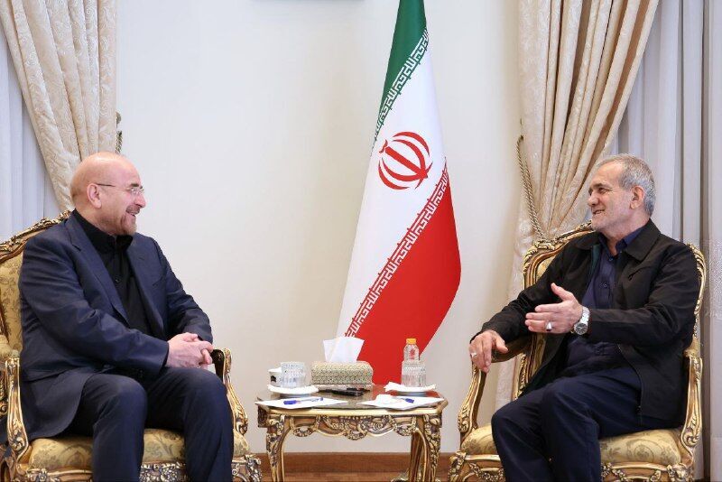 قالیباف با پزشکیان دیدار کرد قالیباف با پزشکیان دیدار کرد