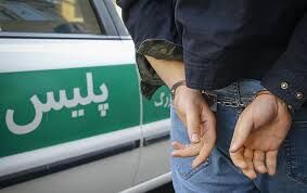جزئیاتی از دستگیری ۱۰۵ سارق و قاپزن در تهران جزئیاتی از دستگیری ۱۰۵ سارق و قاپزن در تهران