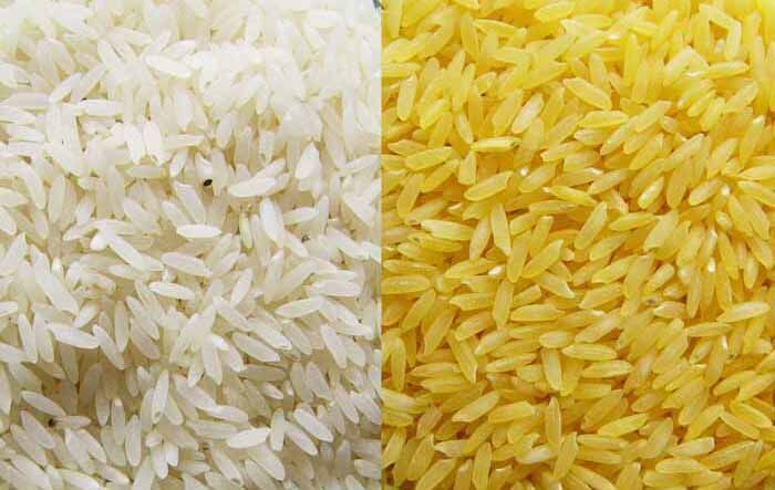 ماجرای واردات برنج طلایی تراریخته به کشور چه بود؟ ماجرای واردات برنج طلایی تراریخته به کشور چه بود؟