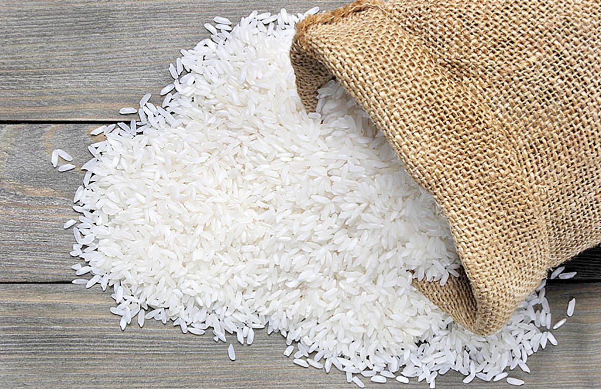 چند استان امسال کشت برنج دارند؟ چند استان امسال کشت برنج دارند؟
