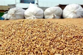 چقدر خوراک دام در کشور تولید می شود؟ چقدر خوراک دام در کشور تولید می شود؟