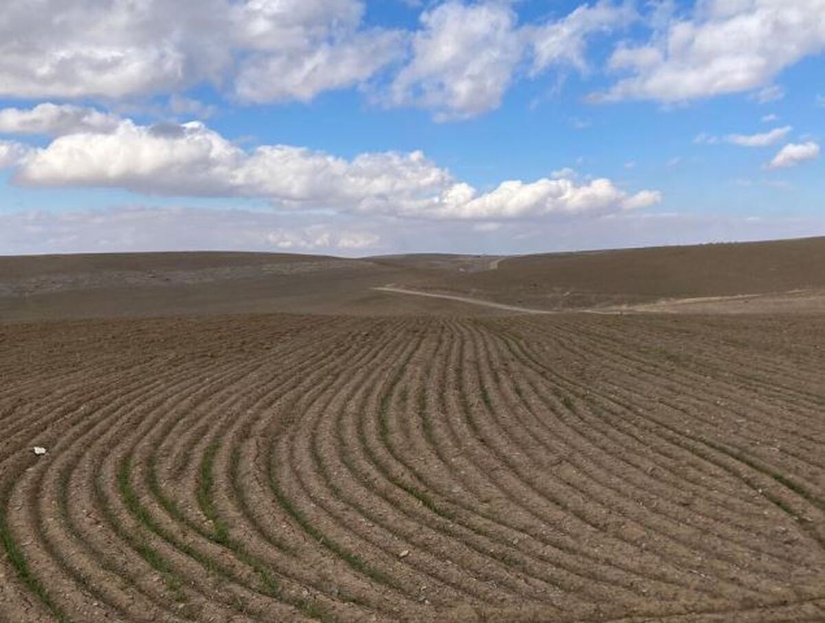 دستور دولتی برای فروش زمین ۵۰ درصد زیر قیمت + سند دستور دولتی برای فروش زمین ۵۰ درصد زیر قیمت + سند