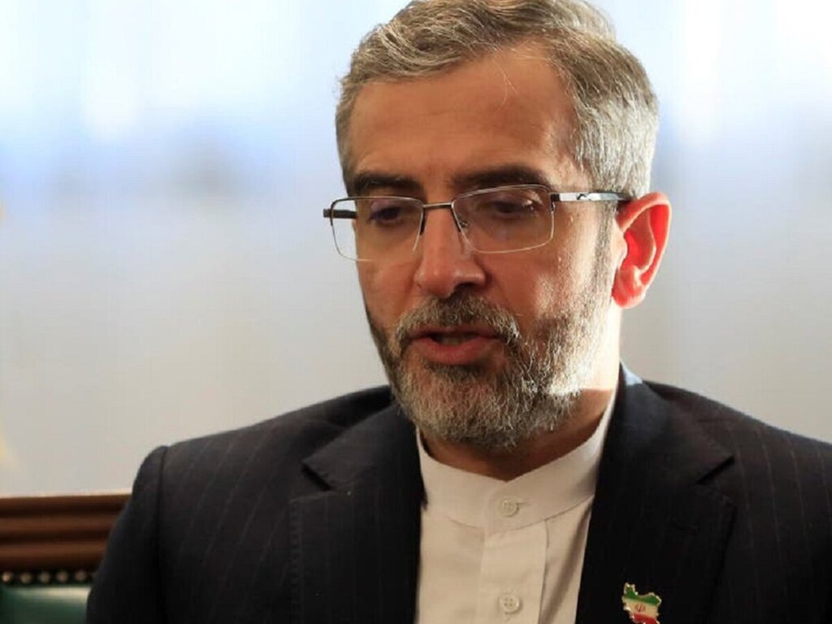 دیدار باقری و وزیر خارجه مصر دیدار باقری و وزیر خارجه مصر