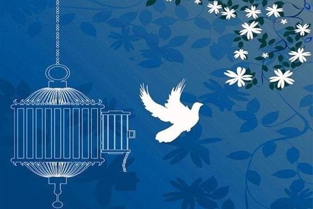 بخشش یک محکوم به قصاص از پای چوبهدار بخشش یک محکوم به قصاص از پای چوبهدار