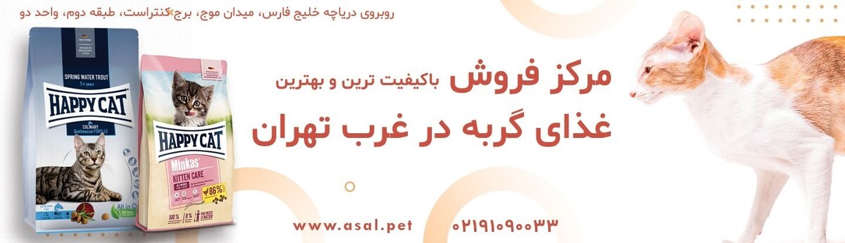 مرکز پخش و فروش غذای گربه در تهران + آدرس و شماره تماس پت شاپ مرکز پخش و فروش غذای گربه در تهران + آدرس و شماره تماس پت شاپ
