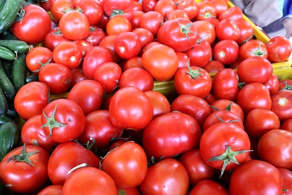 خواص معجره آسای گوجه فرنگی پخته که از آن بی خبرید خواص معجره آسای گوجه فرنگی پخته که از آن بی خبرید