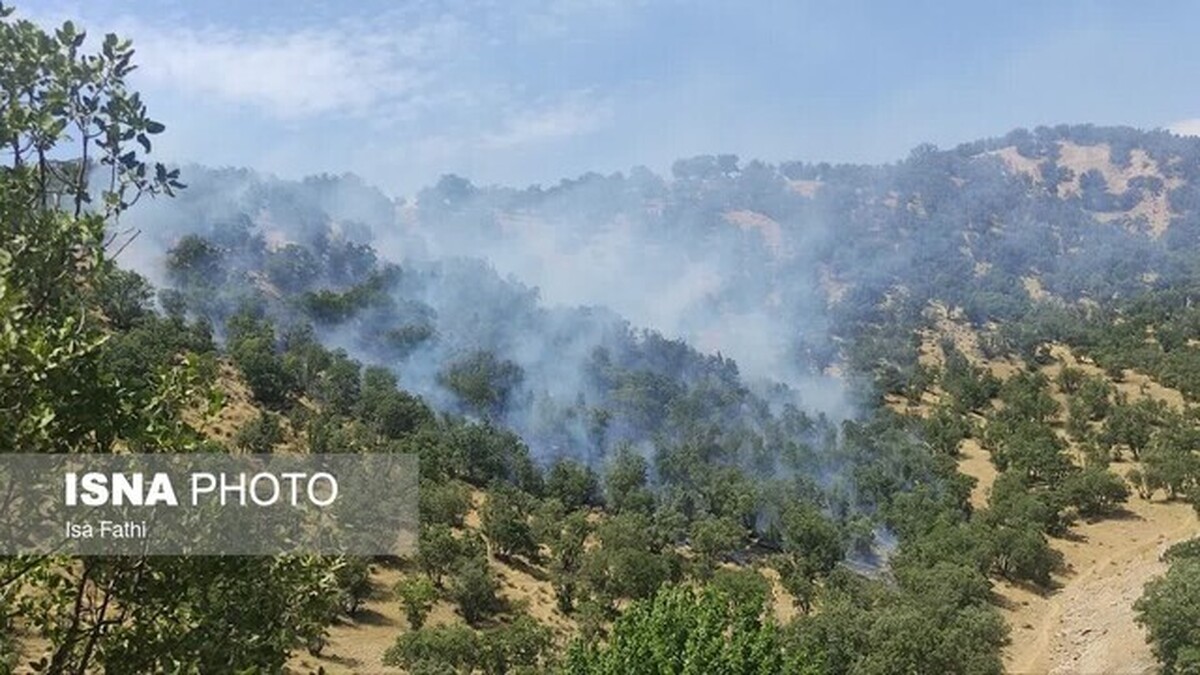 آتش سوزی در جنگلهای کوه «سمر» کهگیلویه آتش سوزی در جنگلهای کوه «سمر» کهگیلویه