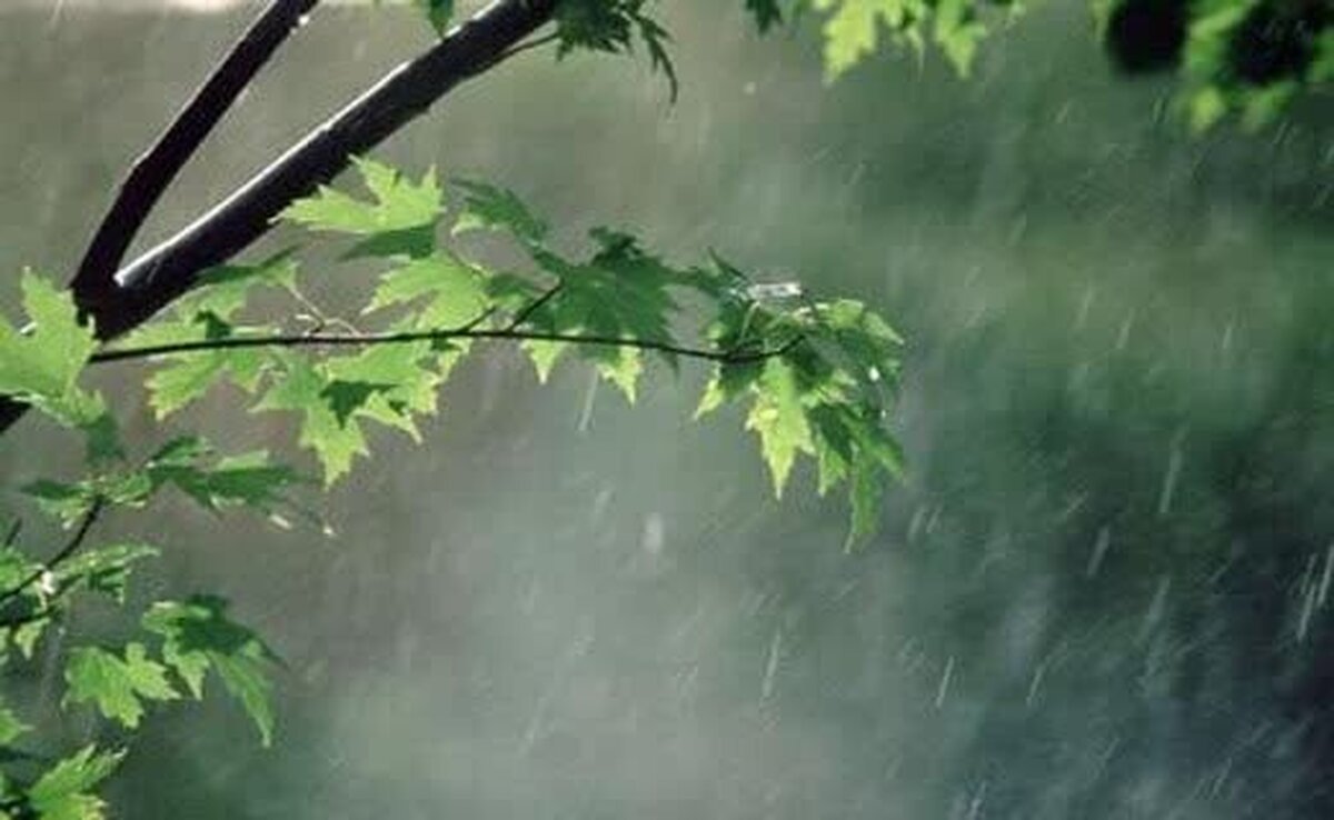 آذربایجان غربی بارانی میشود آذربایجان غربی بارانی میشود