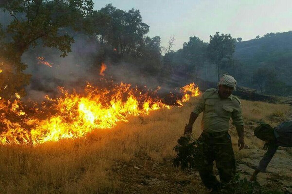 آتش سوزی در سالوک ادامه دارد/برای خاموش کردن آتش به بالگرد نیاز داریم آتش سوزی در سالوک ادامه دارد/برای خاموش کردن آتش به بالگرد نیاز داریم