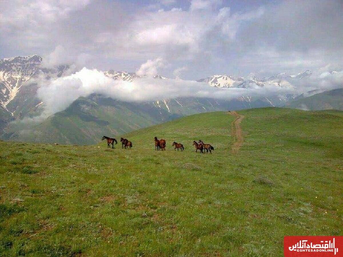 نابودی تدریجی مراتع آذربایجان شرقی نابودی تدریجی مراتع آذربایجان شرقی