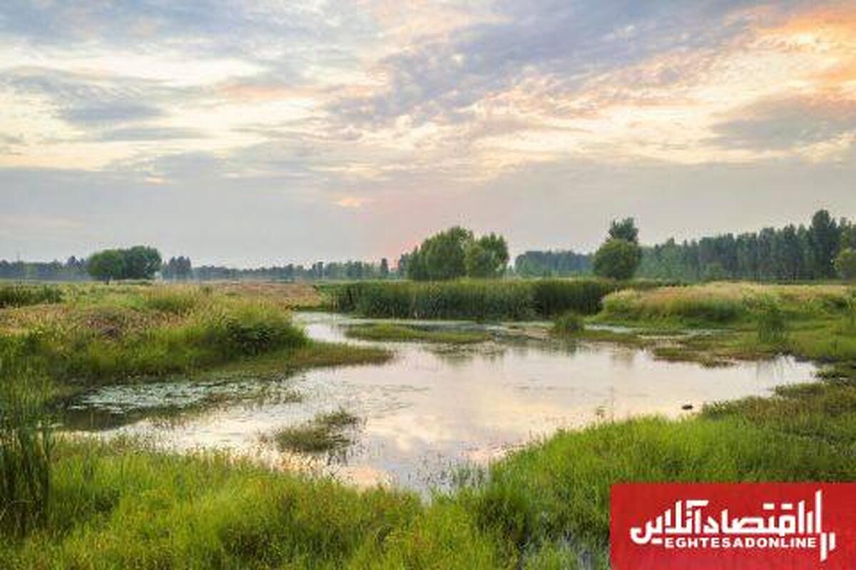 1.5 میلیون هکتار از تالابهای کشور پتانسیل تبدیل به منشأ گرد و غبار 1.5 میلیون هکتار از تالابهای کشور پتانسیل تبدیل به منشأ گرد و غبار