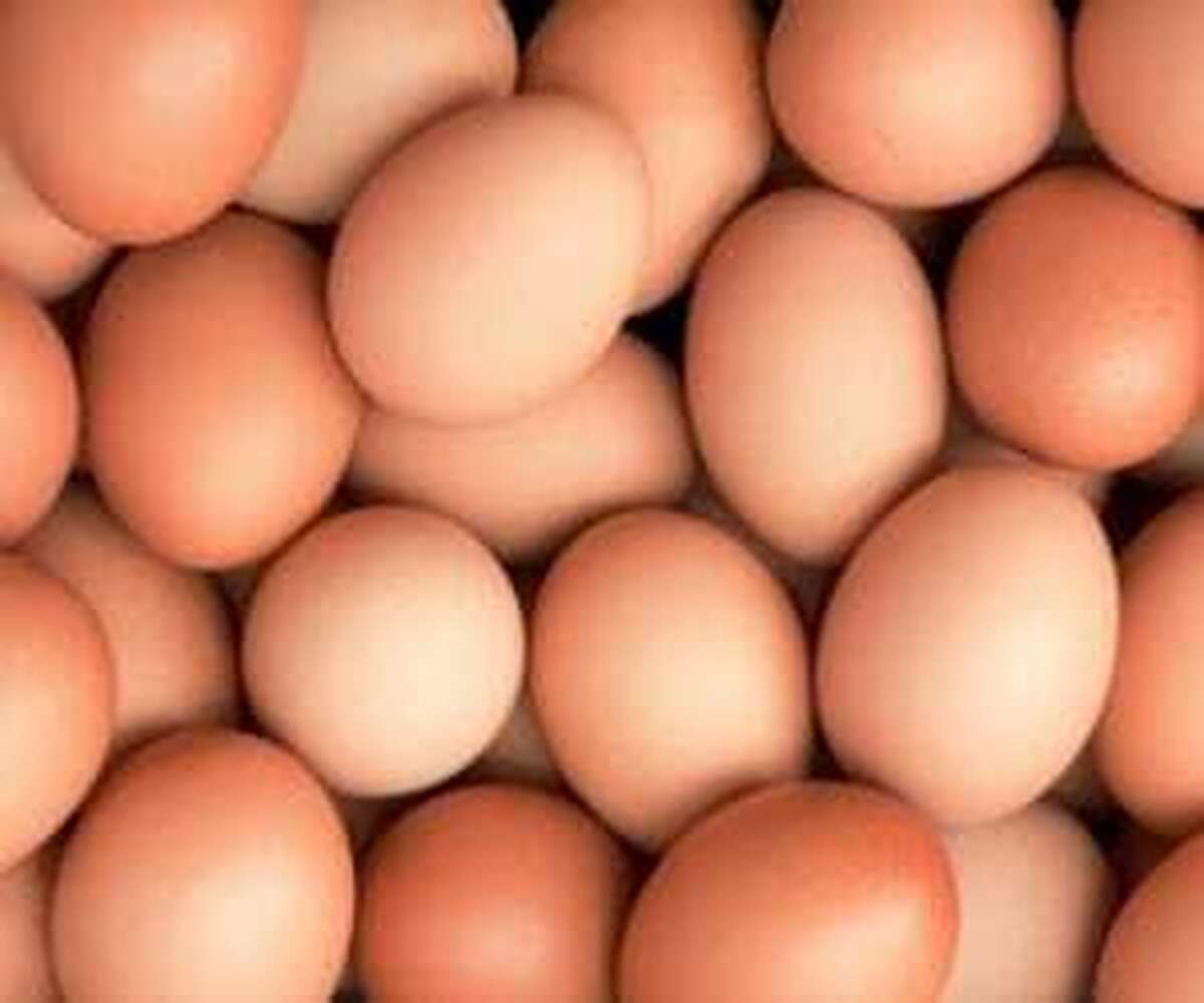 قیمت تخم مرغ ۴۱ هزار تومان شد + جدول قیمت تخم مرغ ۴۱ هزار تومان شد + جدول