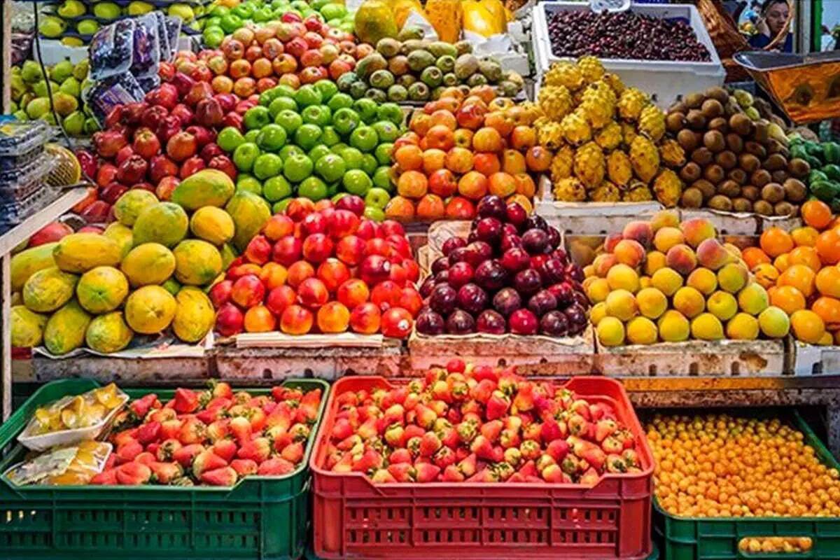 رازهای پنهان آلو: از خواص درمانی تا کاربردهای آشپزی رازهای پنهان آلو: از خواص درمانی تا کاربردهای آشپزی
