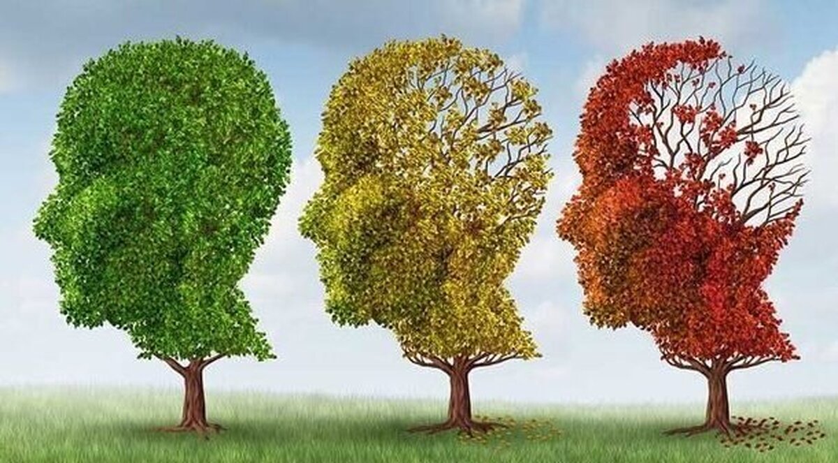 برای پیشگیری از آلزایمر چه کنیم؟ برای پیشگیری از آلزایمر چه کنیم؟