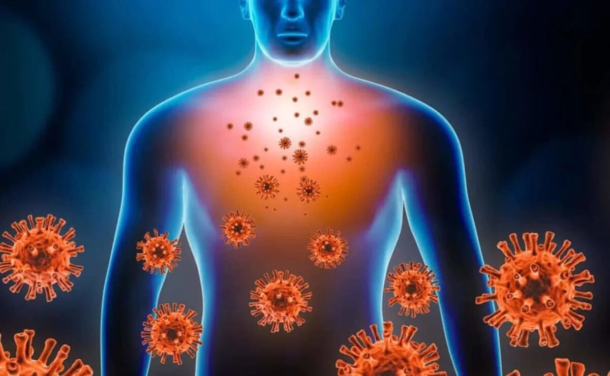 چرا سیستم ایمنی بدن ضعیف میشود؟ چرا سیستم ایمنی بدن ضعیف میشود؟