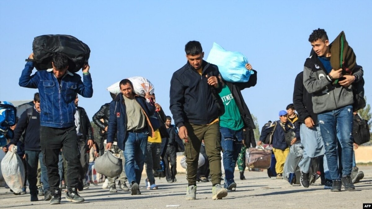 کار کردن اتباع غیرمجاز در این استان ممنوع میشود کار کردن اتباع غیرمجاز در این استان ممنوع میشود