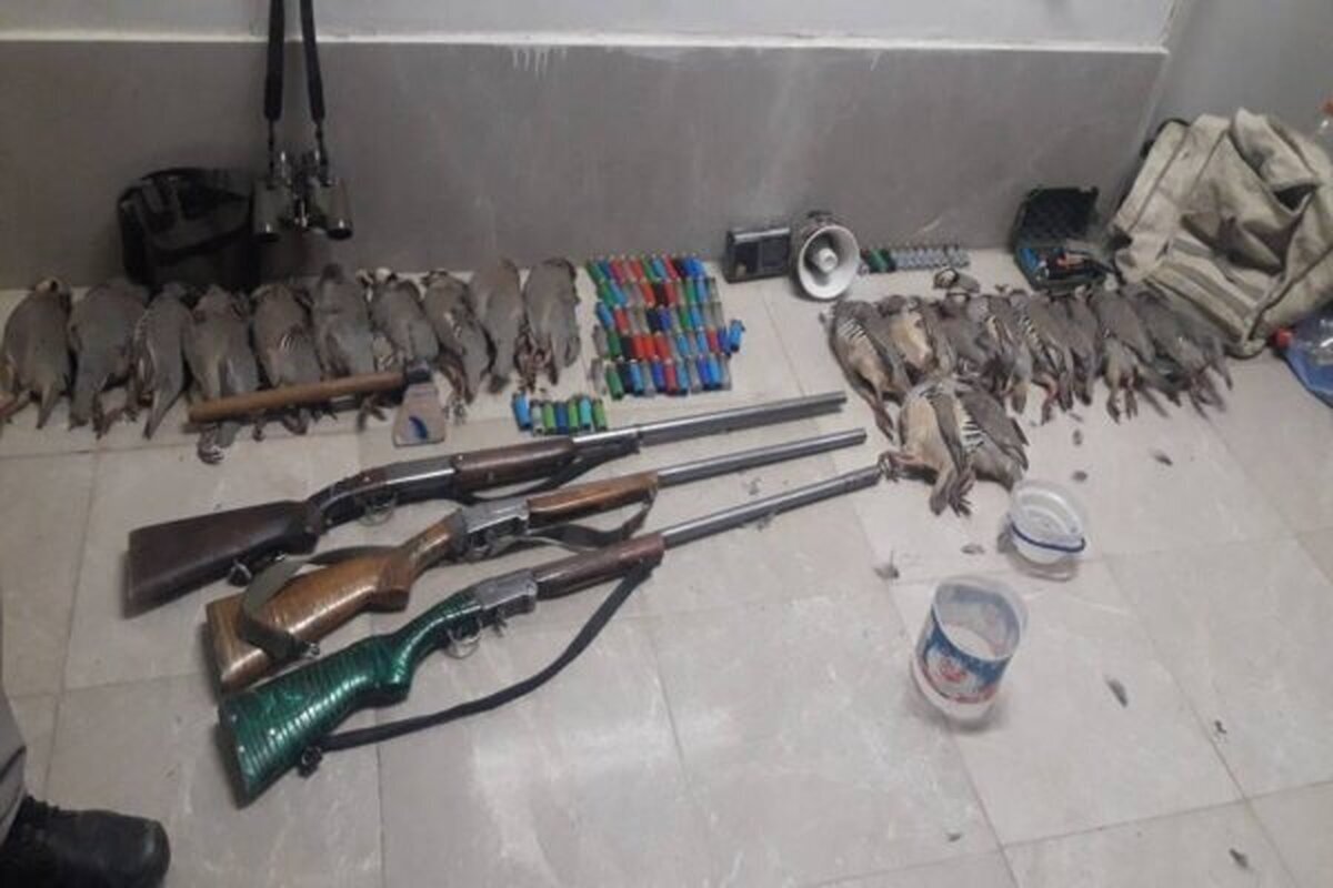 شکارچیان این منطقه دستگیر شدند شکارچیان این منطقه دستگیر شدند