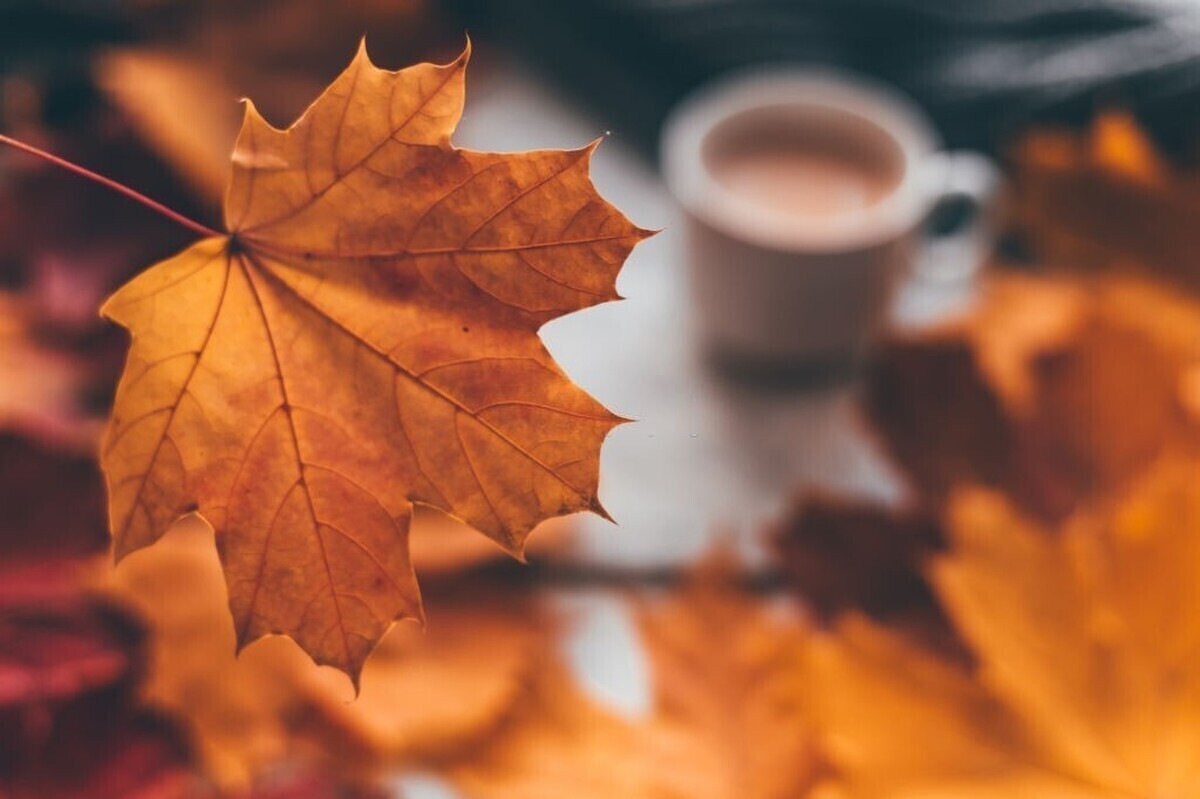 تفال به حافظ یکشنبه ۲۹ مهر ۱۴۰۳؛ ای دل به کوی عشق گذاری نمیکنی... تفال به حافظ یکشنبه ۲۹ مهر ۱۴۰۳؛ ای دل به کوی عشق گذاری نمیکنی...