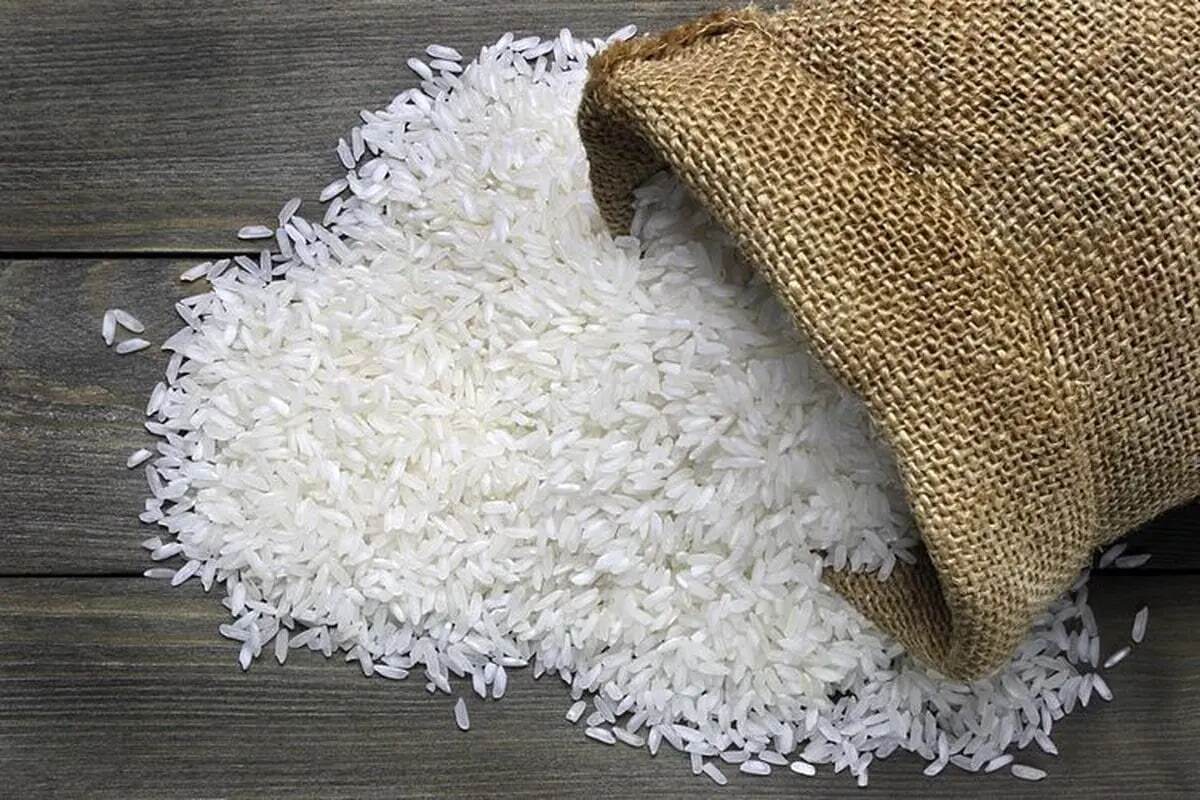 وضعیت سیاه برنج سفید / گرانی برنج با سفره مردم چه میکند؟ وضعیت سیاه برنج سفید / گرانی برنج با سفره مردم چه میکند؟