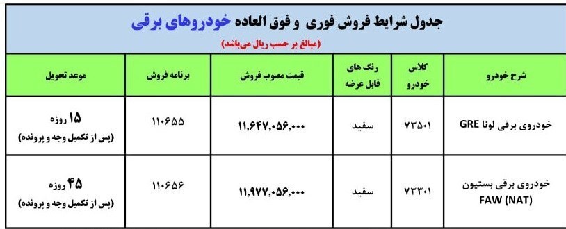 اعلام شرایط فروش خودروهای برقی به صورت ویژه