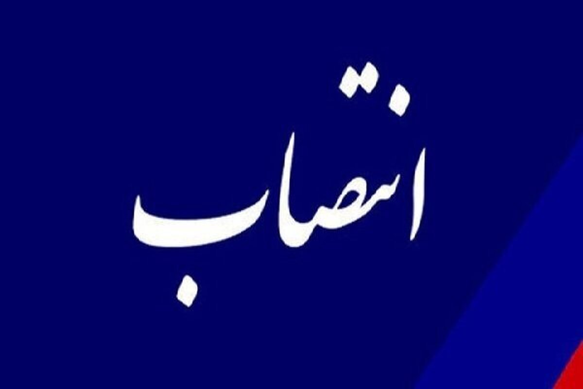 رئیس سازمان هواپیمایی کشوری منصوب شد رئیس سازمان هواپیمایی کشوری منصوب شد