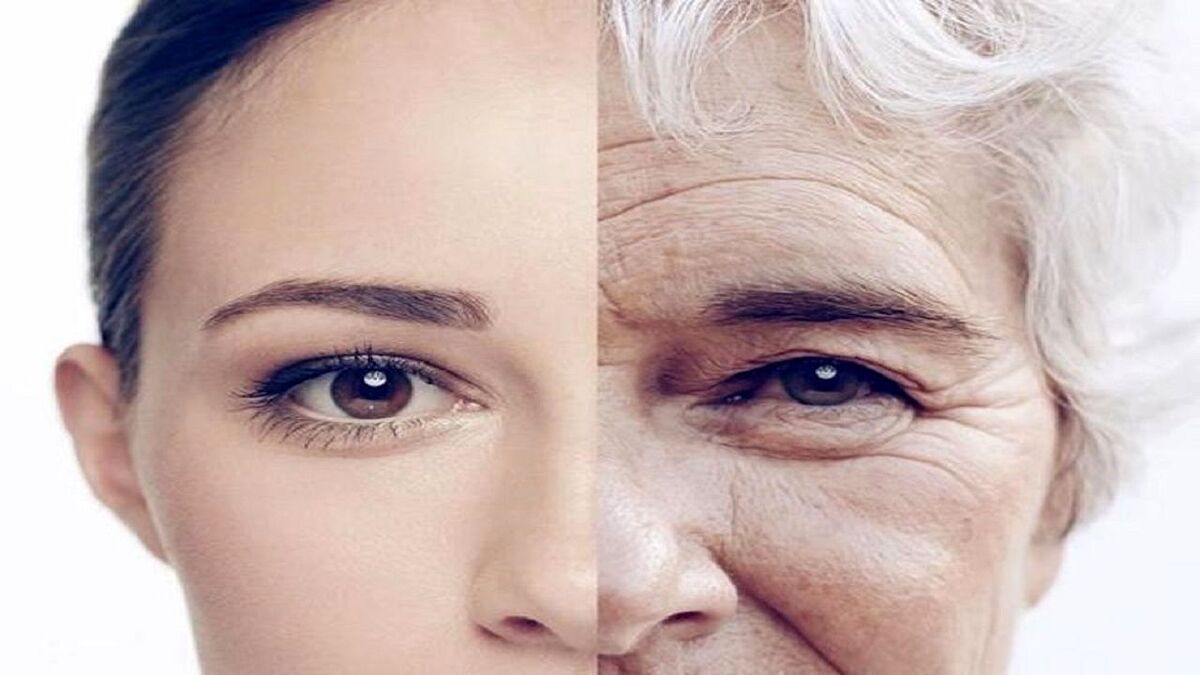 چگونه با روغنهای گیاهی پوستی لطیف داشته باشیم؟ چگونه با روغنهای گیاهی پوستی لطیف داشته باشیم؟