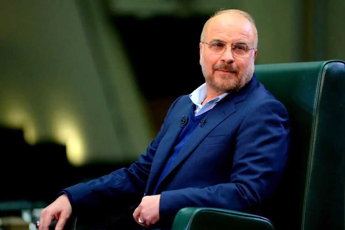 رئیس مجلس وارد فرودگاه طبس شد رئیس مجلس وارد فرودگاه طبس شد