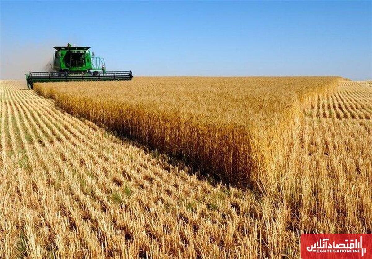 آذربایجان شرقی رتبه نخست طرح جهش تولید در دیمزارها آذربایجان شرقی رتبه نخست طرح جهش تولید در دیمزارها