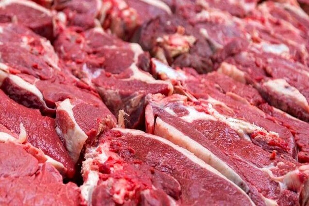 واردات گوشت چقدر قیمت آن تاثیر دارد؟ واردات گوشت چقدر قیمت آن تاثیر دارد؟