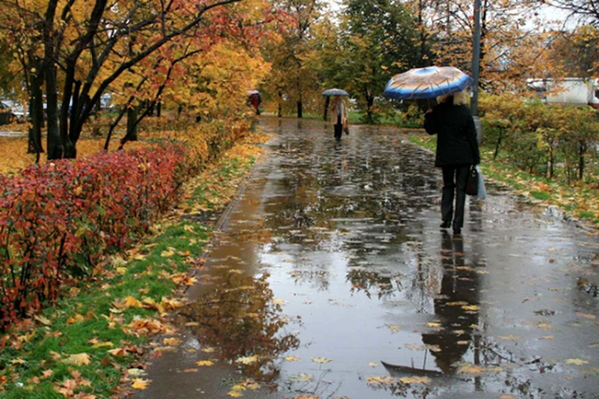 بارش باران تا کِی ادامه دارد؟ بارش باران تا کِی ادامه دارد؟