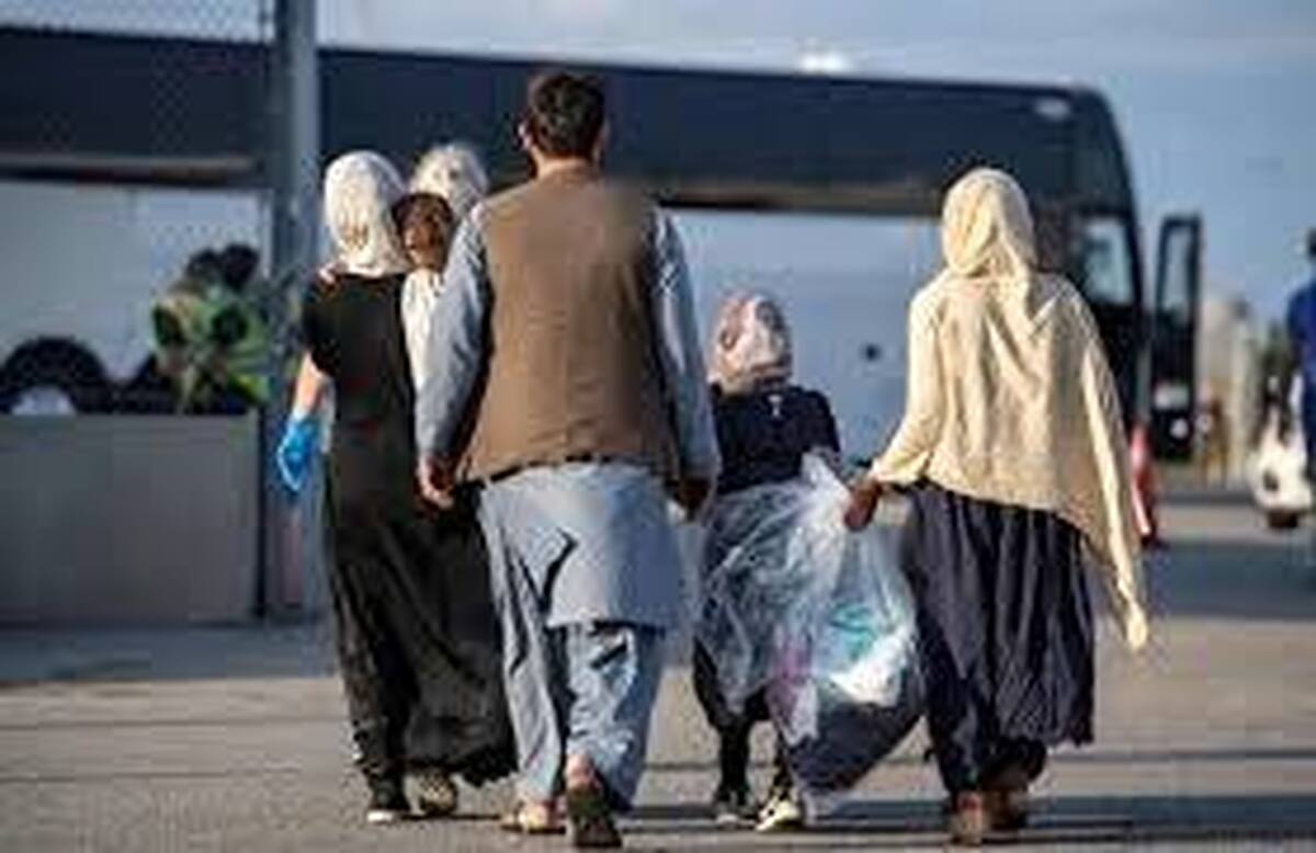 ۶ میلیون مهاجر در ایران؛ تلاش برای ساماندهی اتباع مجاز و غیرمجاز ۶ میلیون مهاجر در ایران؛ تلاش برای ساماندهی اتباع مجاز و غیرمجاز