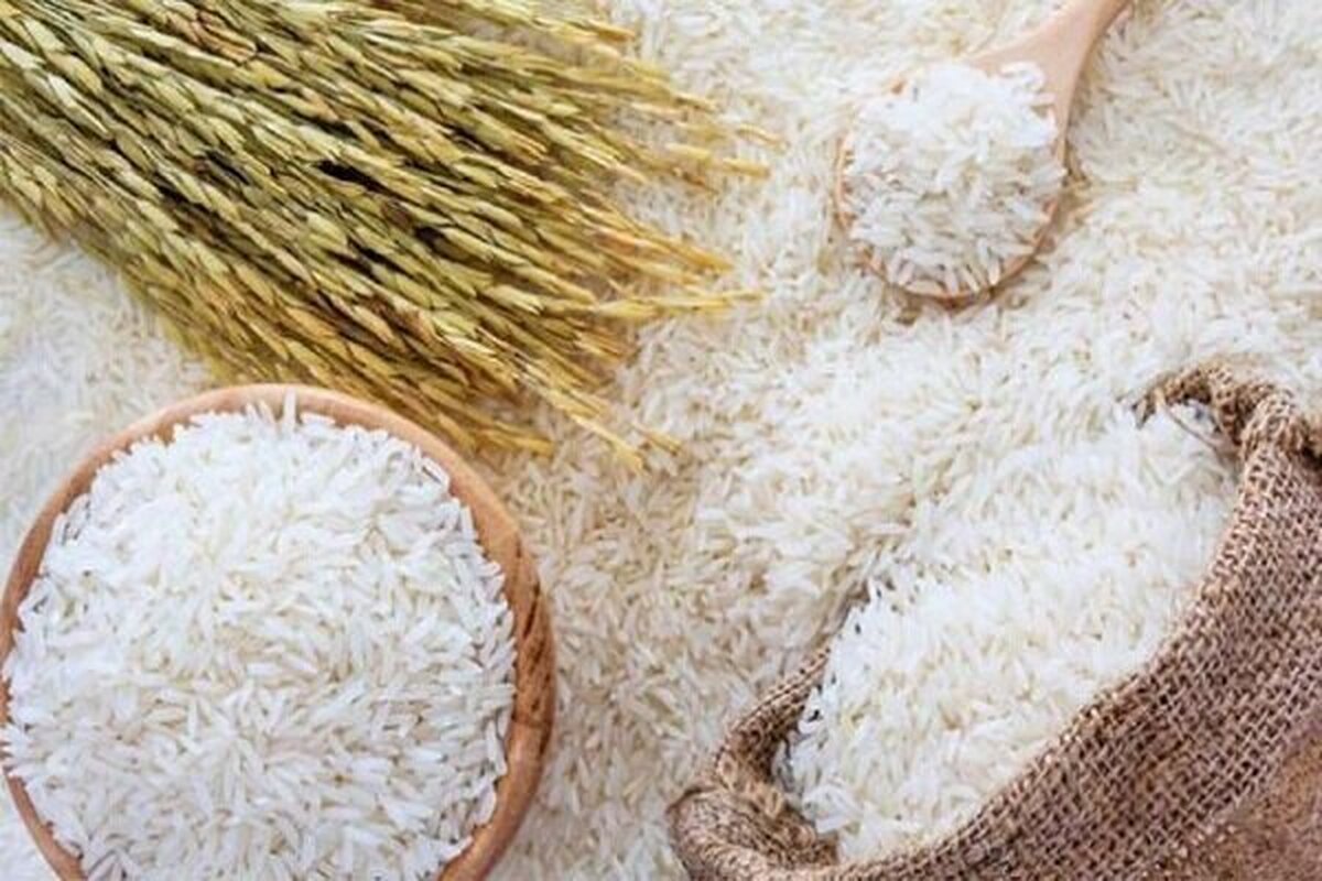 ممنوعیت-واردات-برنج-راهی-برای-گرانی-به-دست-دلالان