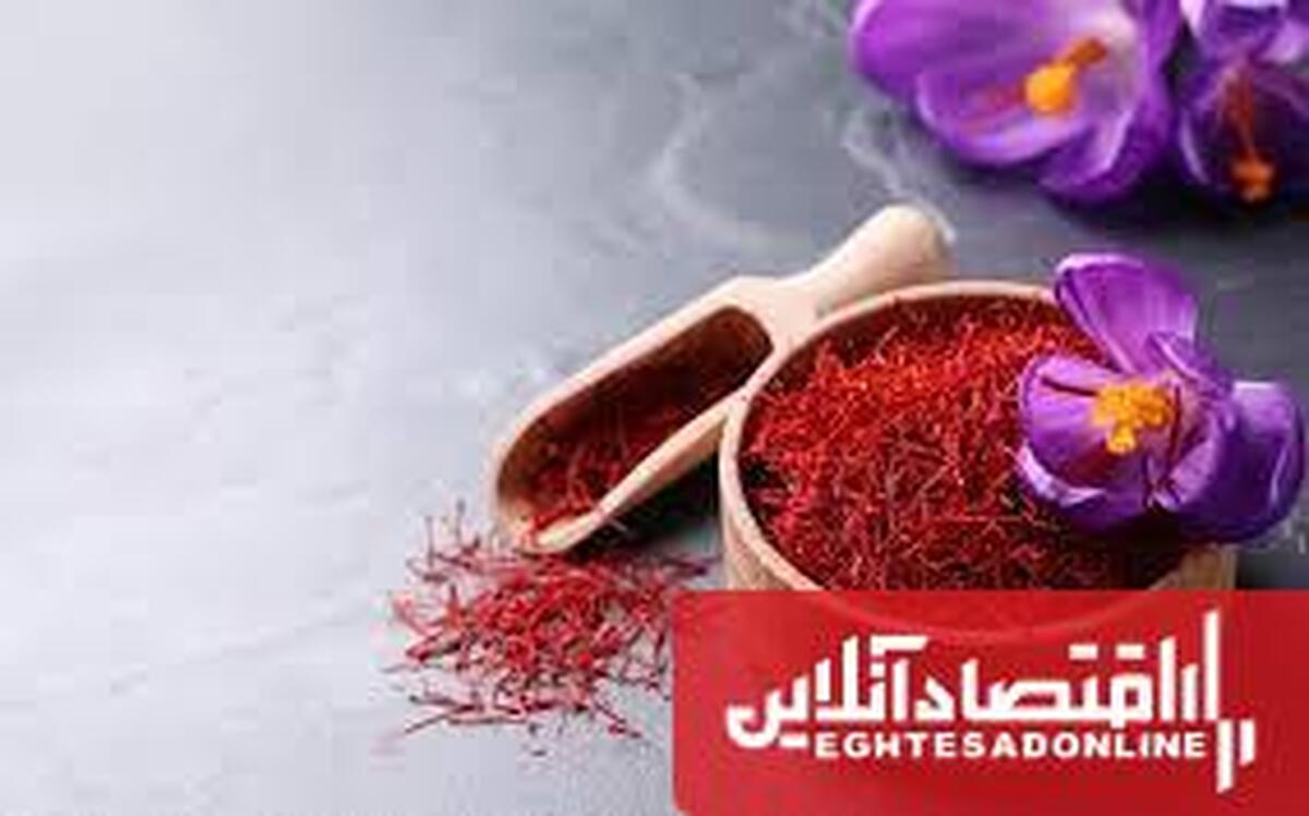 رشد ۵۰ درصدی تولید زعفران در آذربایجان شرقی؛ ۴۲۵ هکتار زیرکشت رشد ۵۰ درصدی تولید زعفران در آذربایجان شرقی؛ ۴۲۵ هکتار زیرکشت