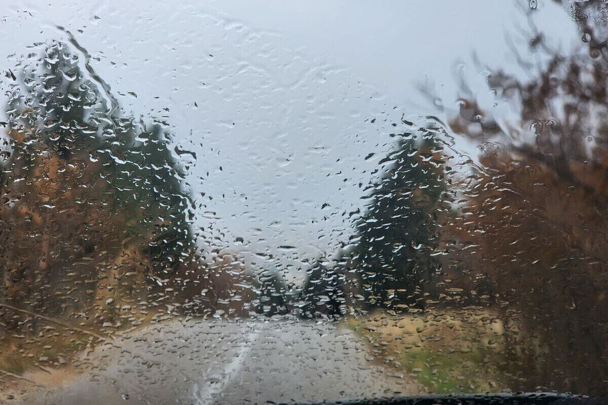 بارندگی و کاهش محسوس دما برای این استانها بارندگی و کاهش محسوس دما برای این استانها