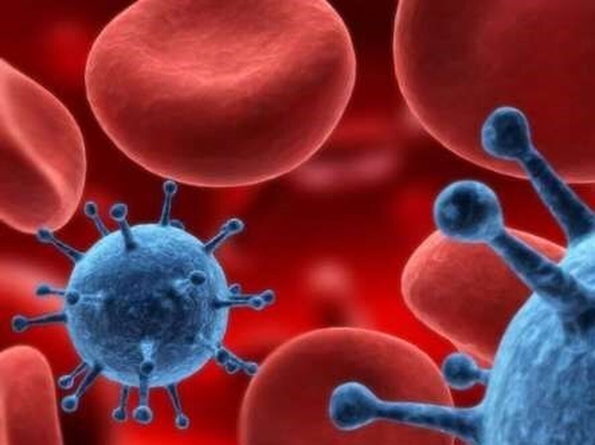 هر آنچه باید درباره HIV بدانید/ راههای پیشگیری از ابتلا هر آنچه باید درباره HIV بدانید/ راههای پیشگیری از ابتلا