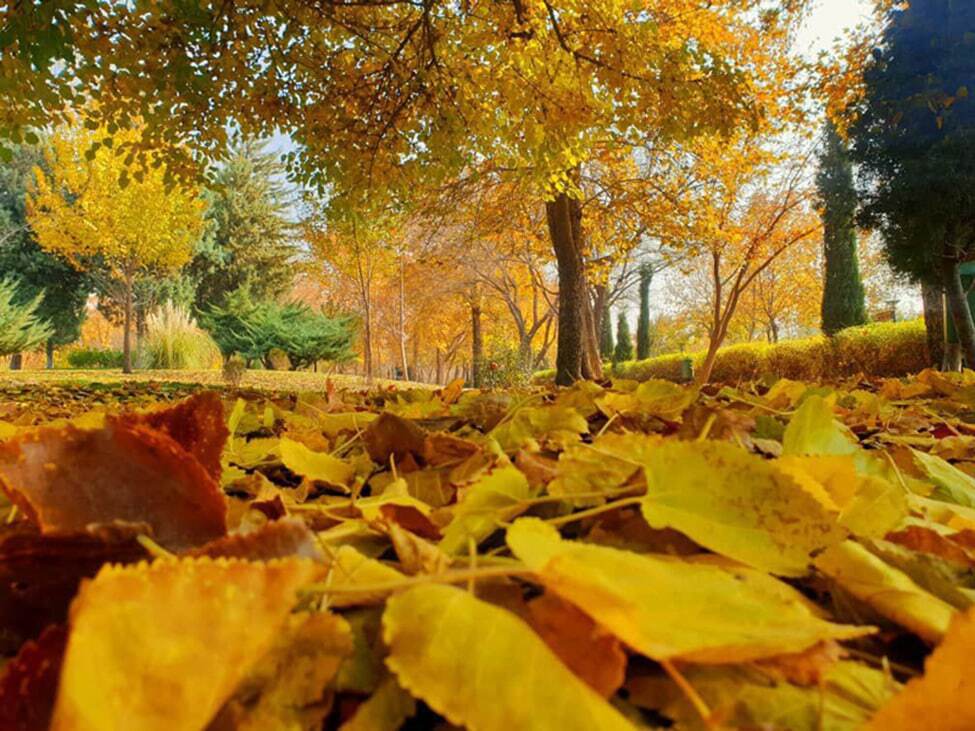 حال و هوای پاییز در مشهد