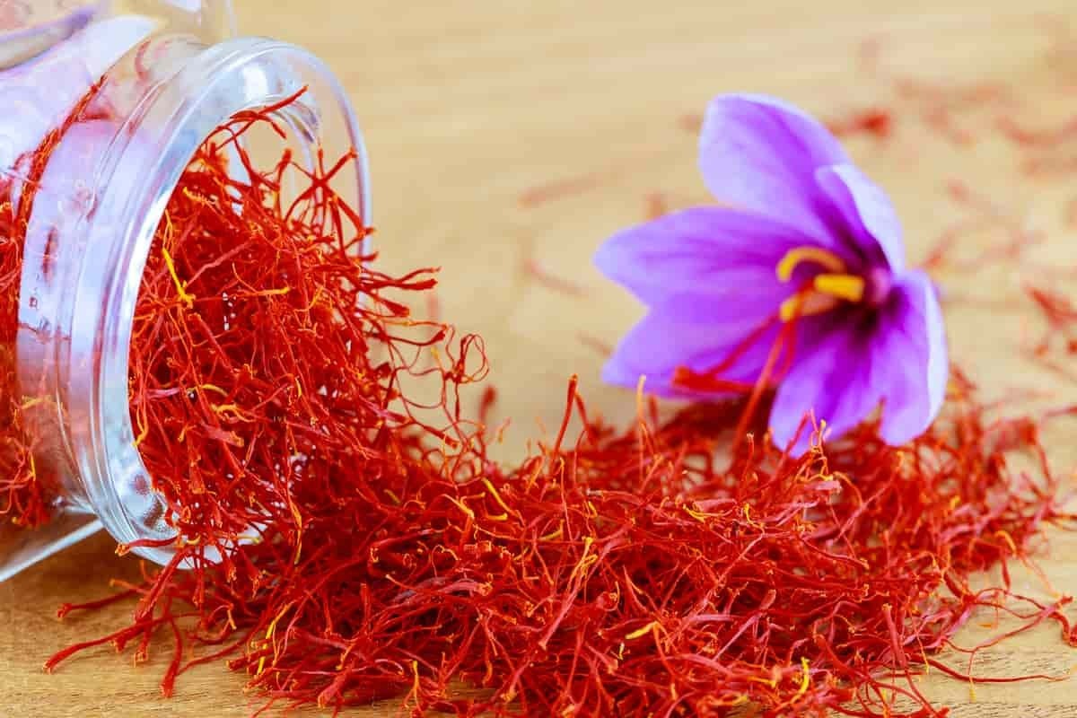 «زعفران» در کدام شهرها کشت میشود؟ «زعفران» در کدام شهرها کشت میشود؟