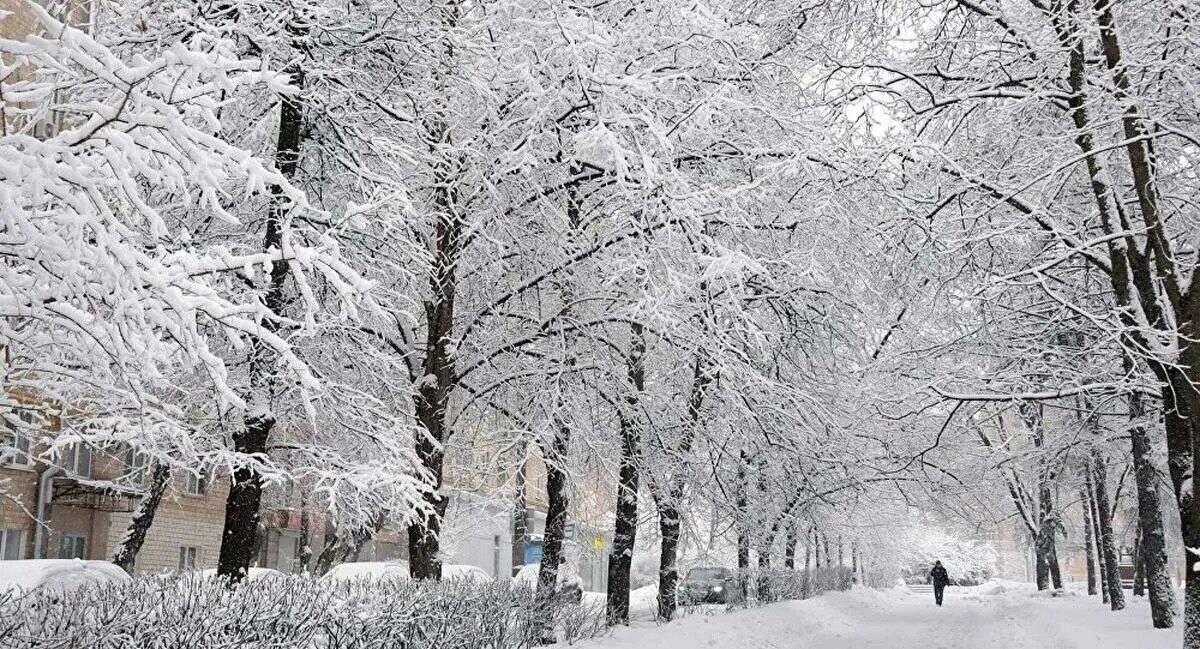 هواشناسی: بارش باران و برف فردا در ۴ استان هواشناسی: بارش باران و برف فردا در ۴ استان