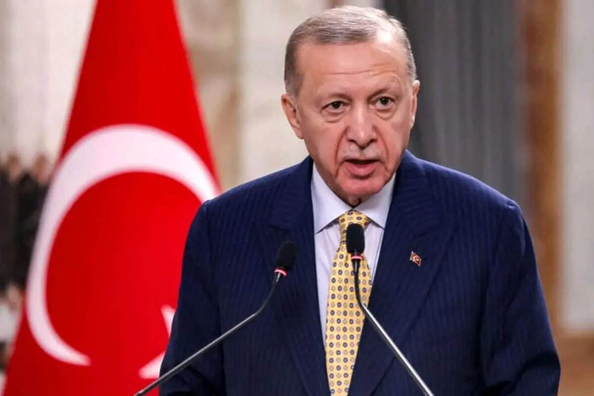 اردوغان: امیدوارم دولت جدید سوریه برای همسایگانش تهدید نباشد اردوغان: امیدوارم دولت جدید سوریه برای همسایگانش تهدید نباشد